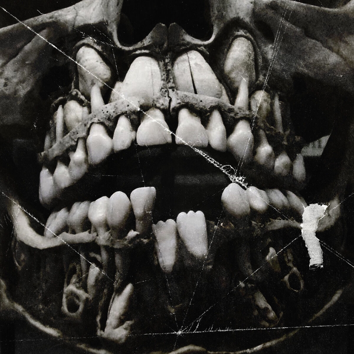 Album cover of Grieve for No One