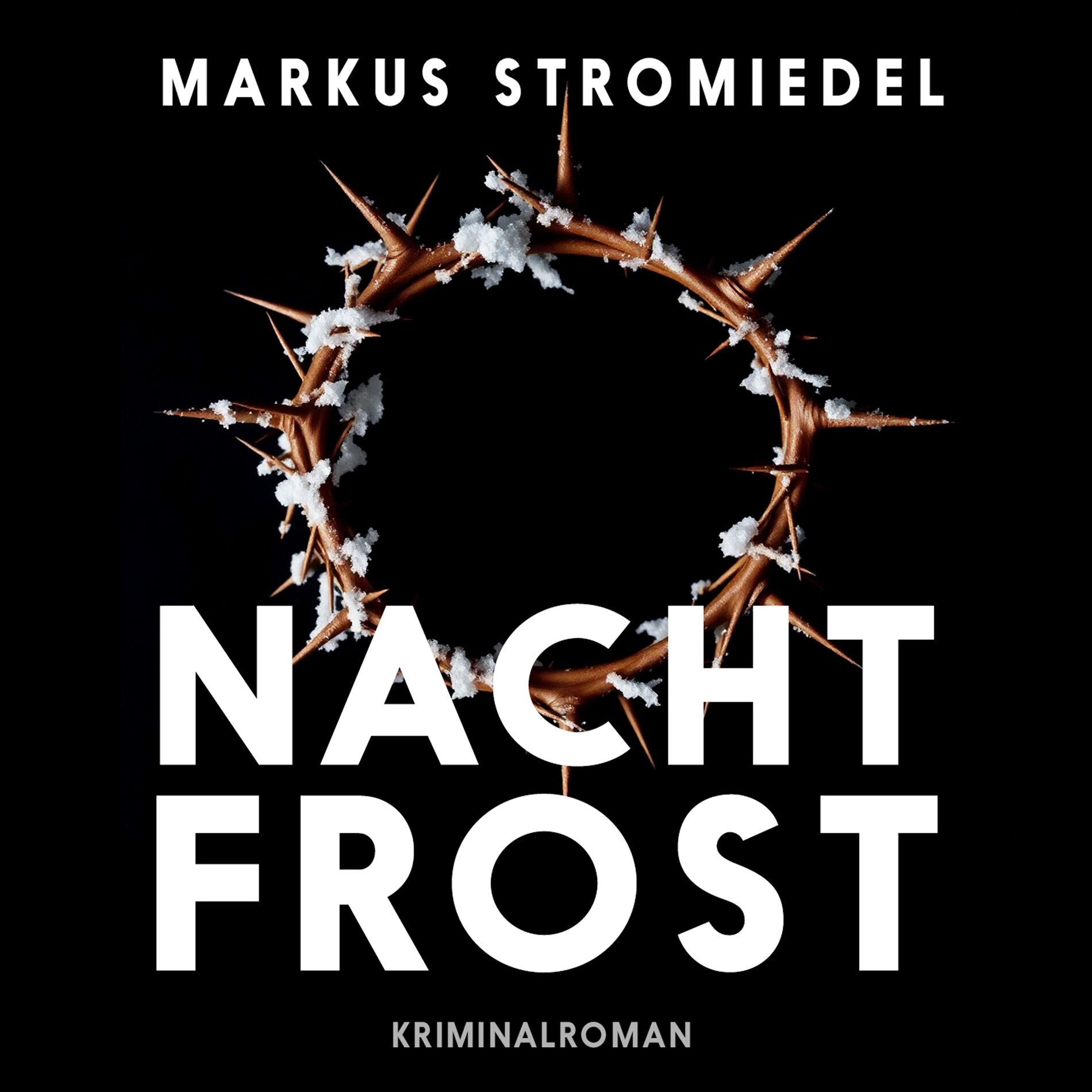 Album cover of Nachtfrost