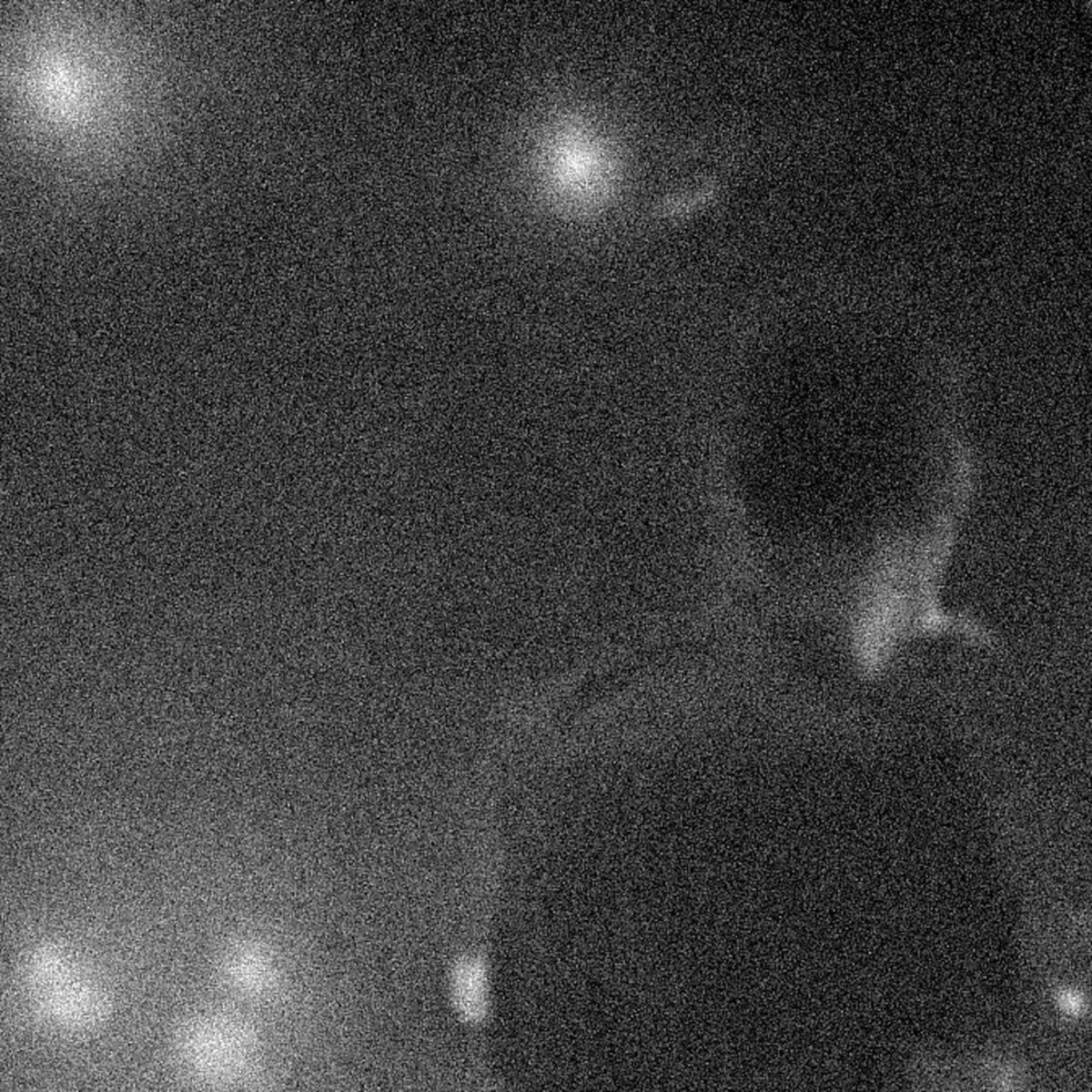 Album cover of Yours