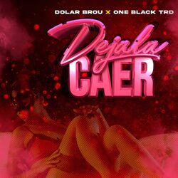 Cover of Dejala caer