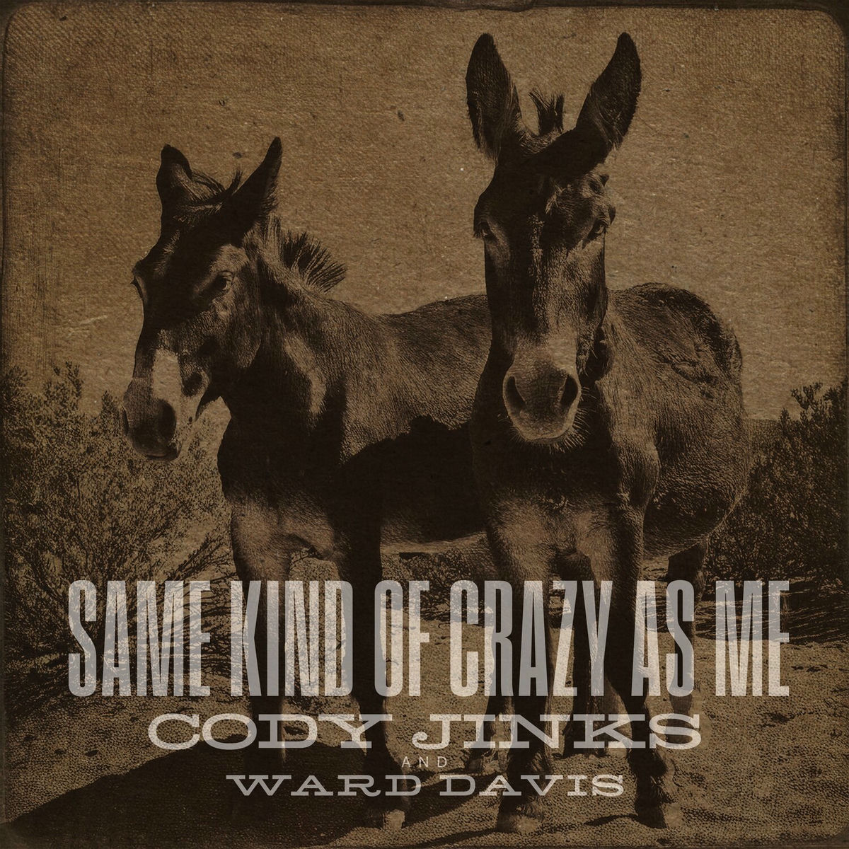 Album cover of Same Kind of Crazy as Me