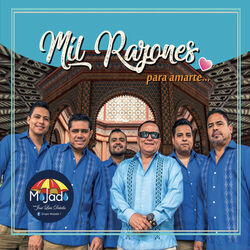 Cover of Mil Razones para Amarte