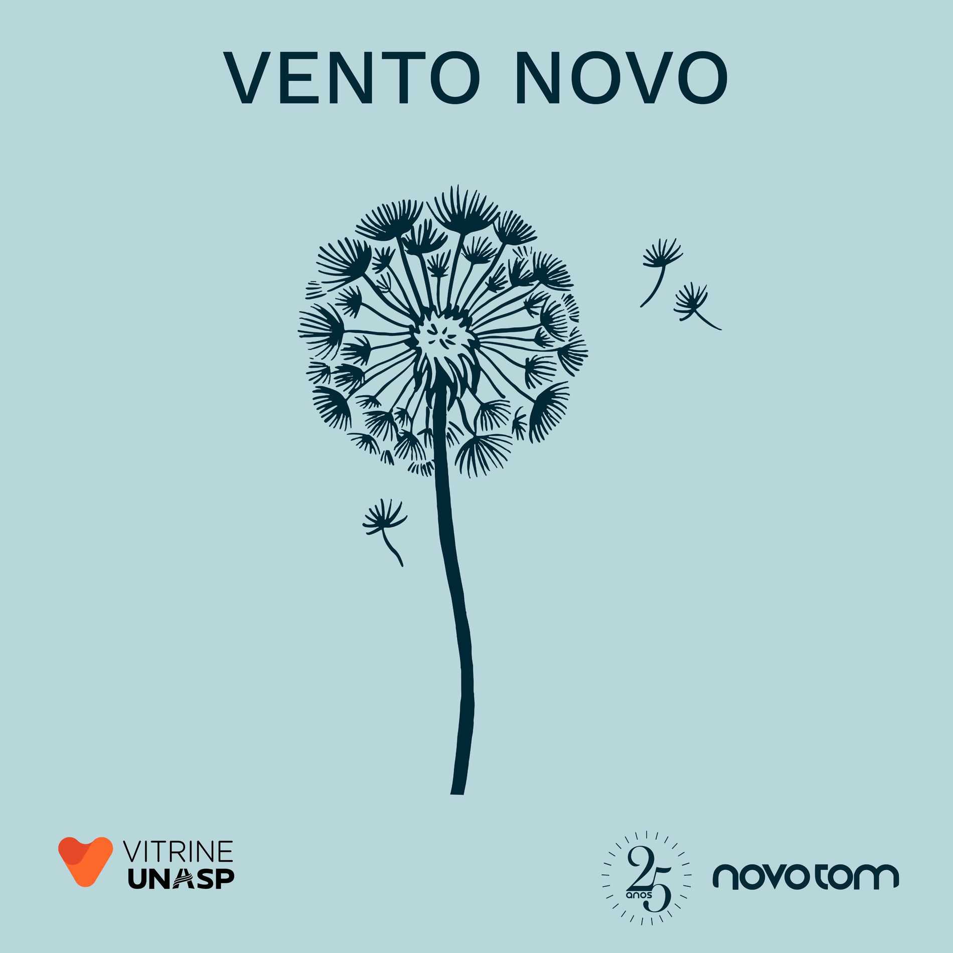 Album cover of Vento Novo (25 Anos)