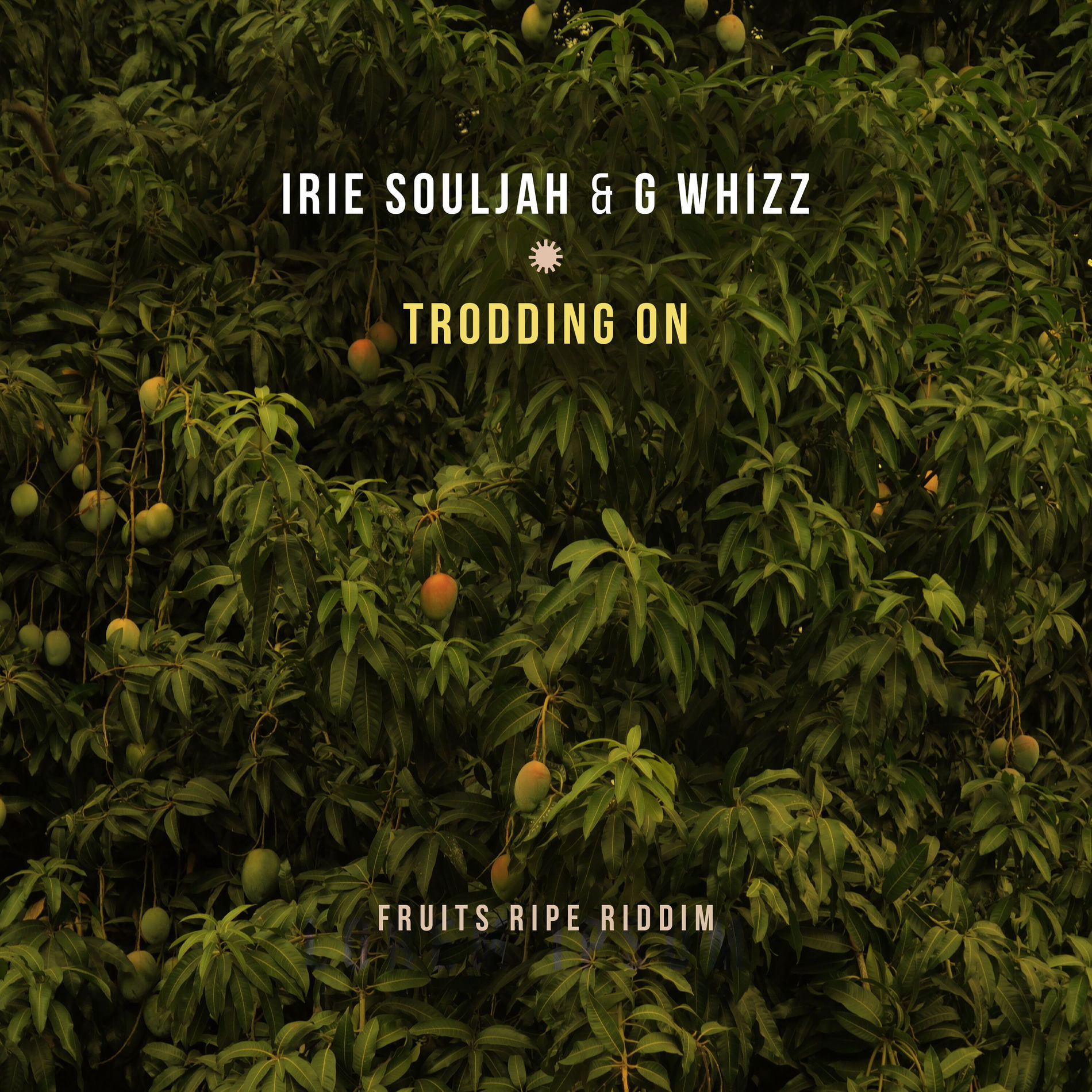 Album cover of Trodding On