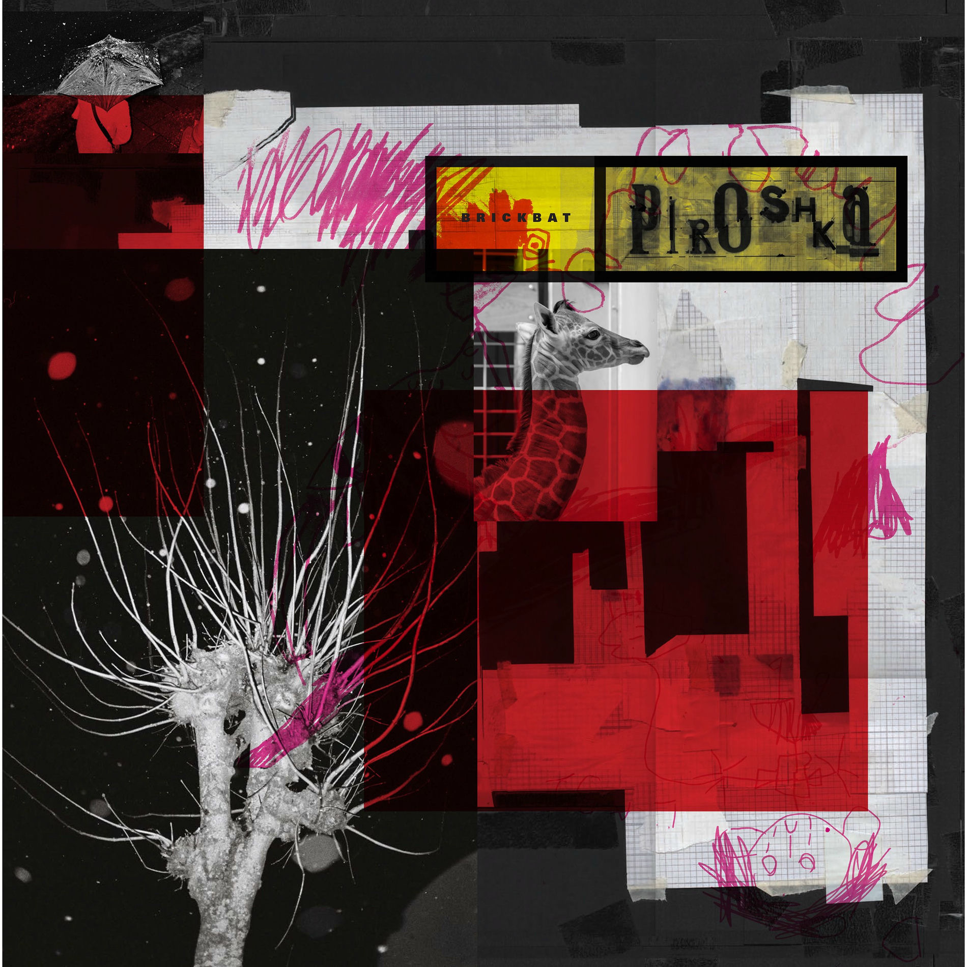Album cover of Brickbat
