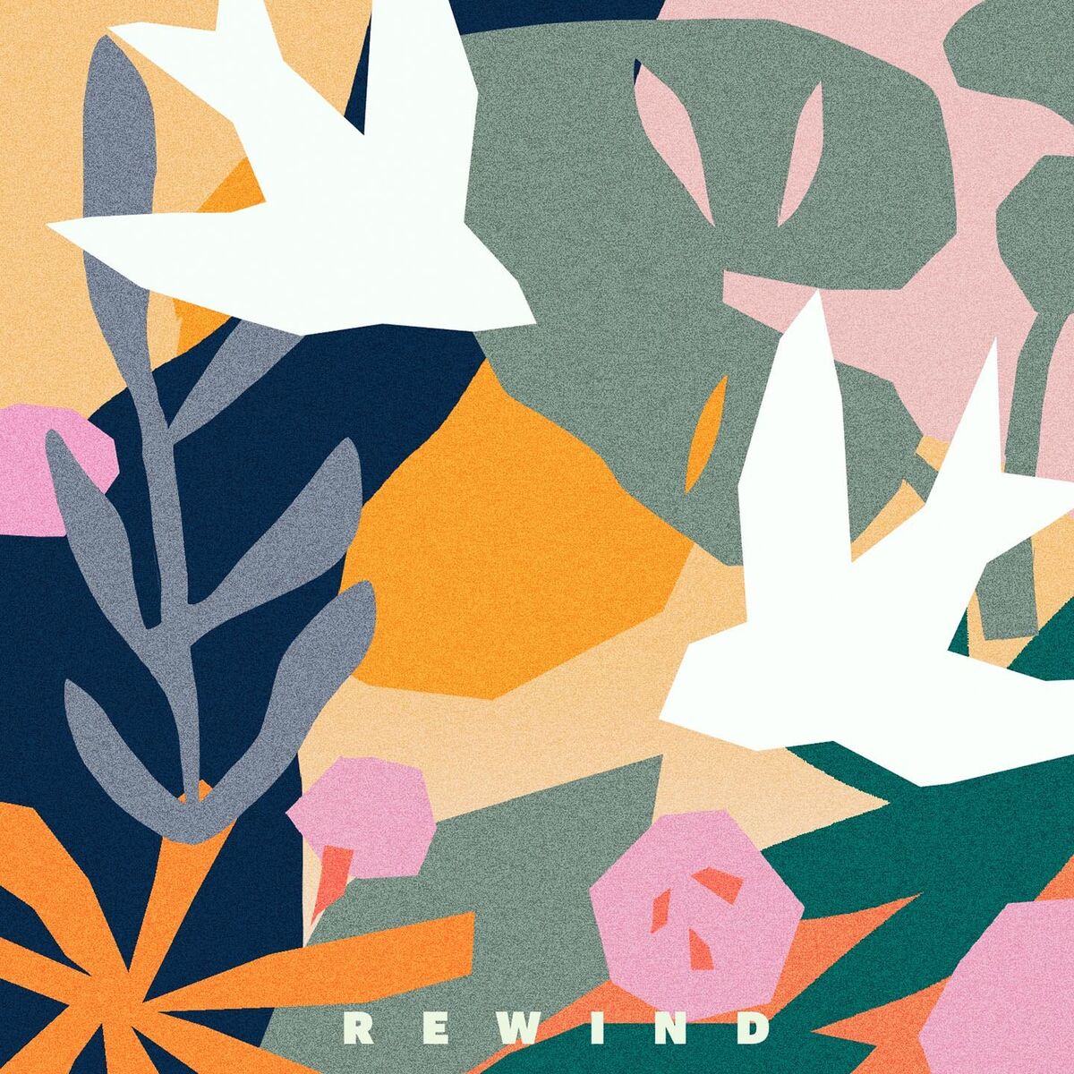 Album cover of Rewind