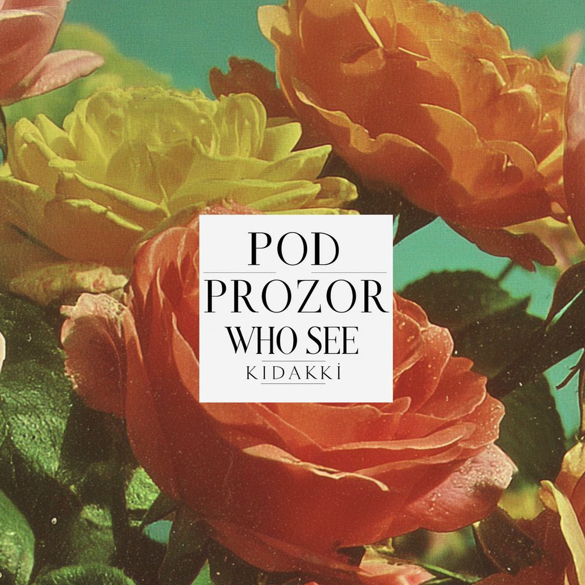 Album cover of Pod Prozor