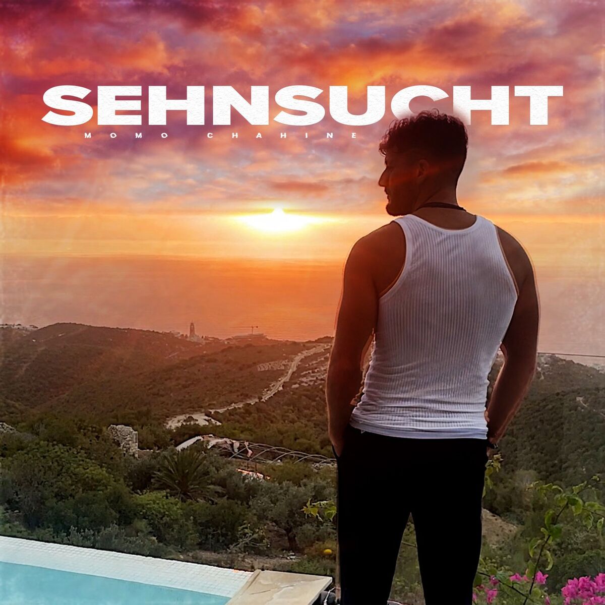 Album cover of Sehnsucht