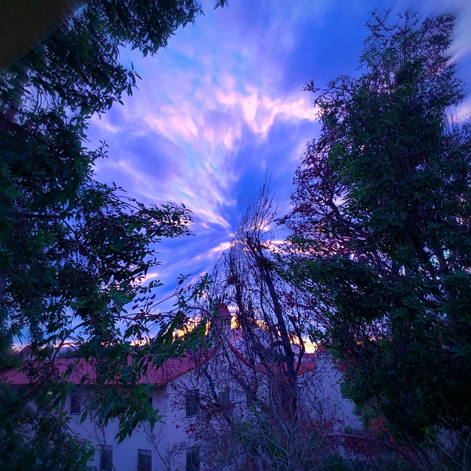 Album cover of Growing Pains