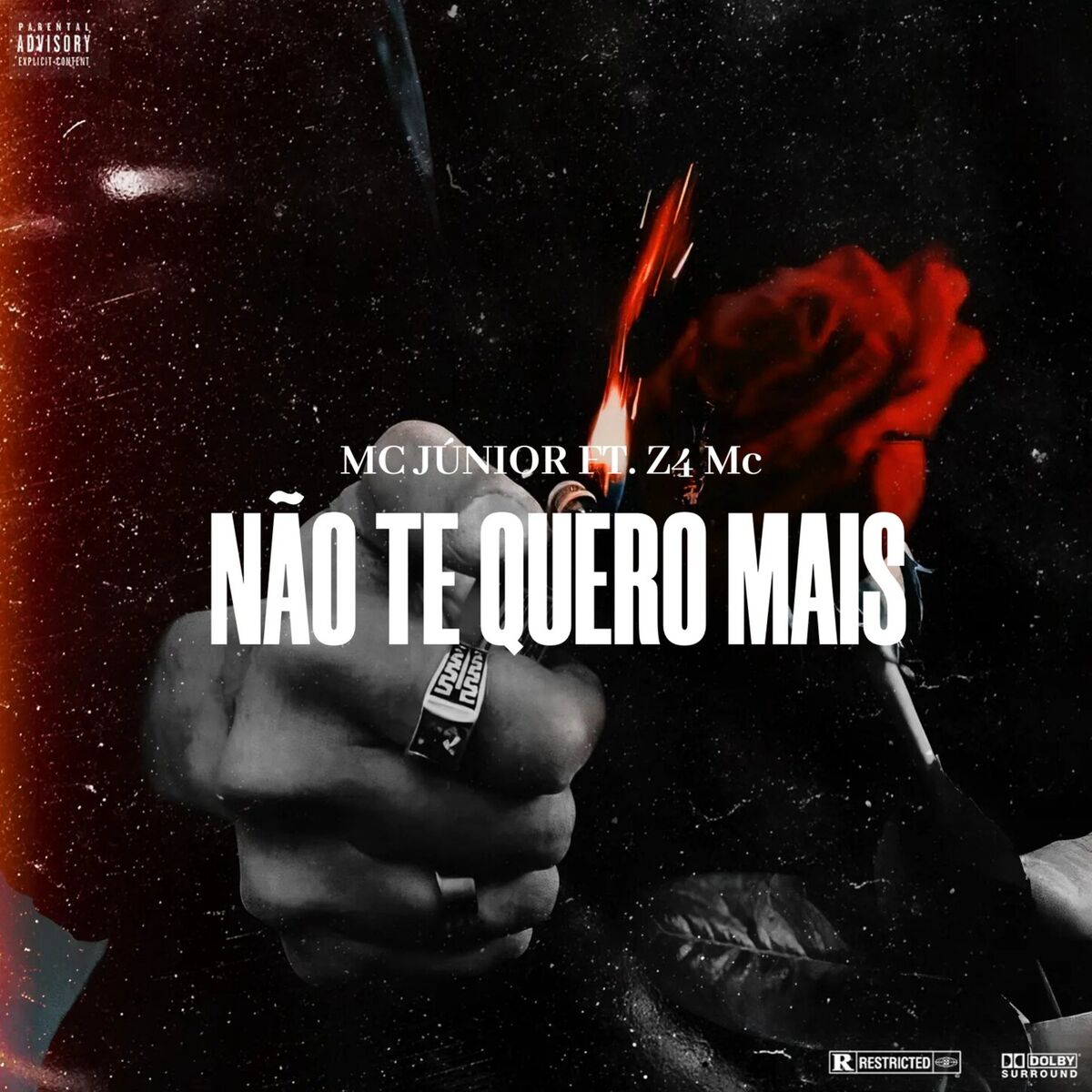 Album cover of Não Te Quero Mais
