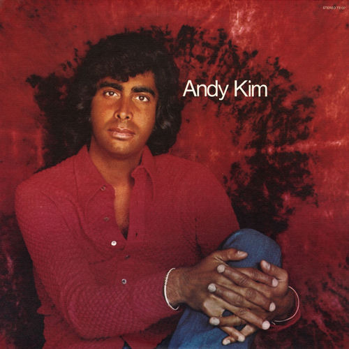 Andy Kim