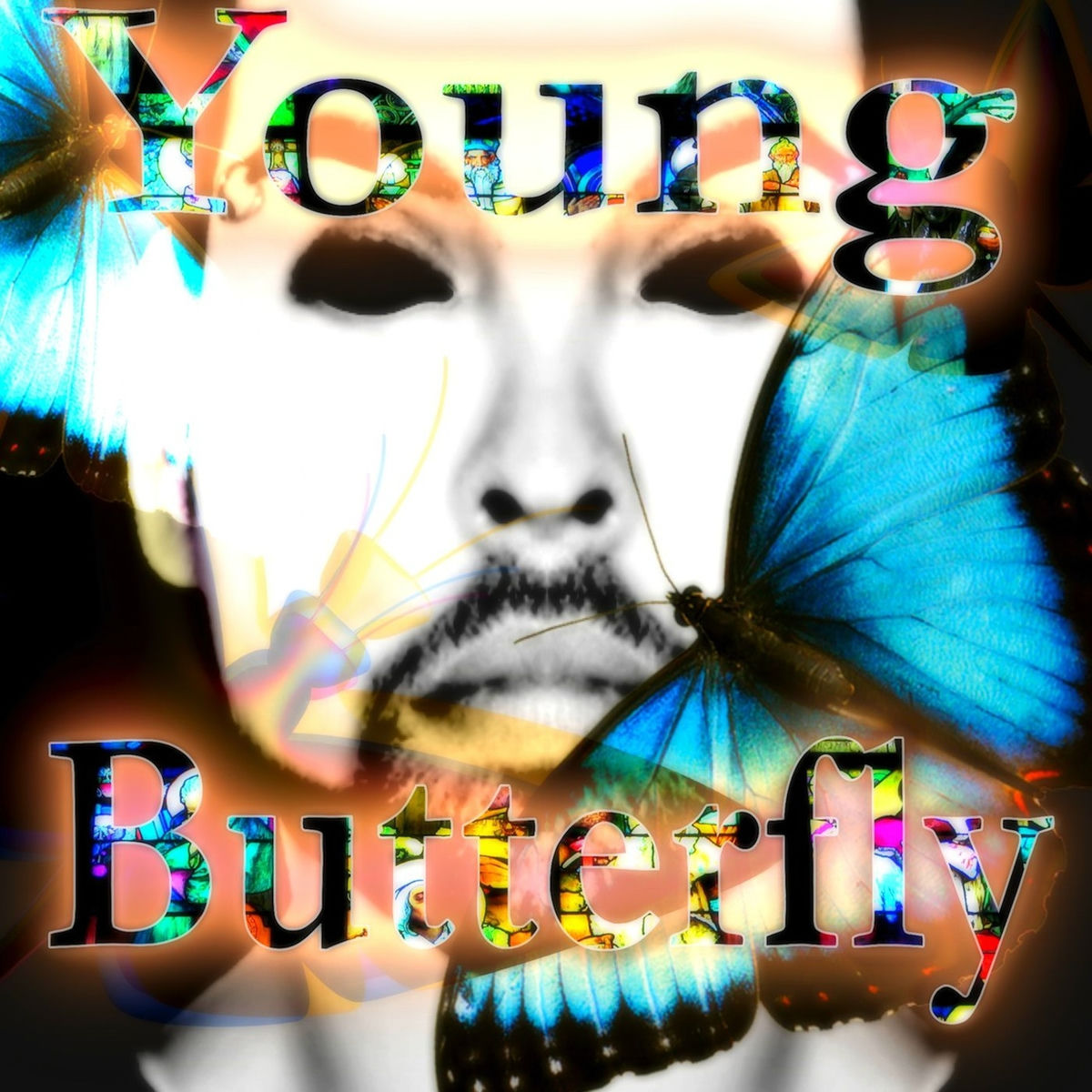 Album cover of Young Butterfly