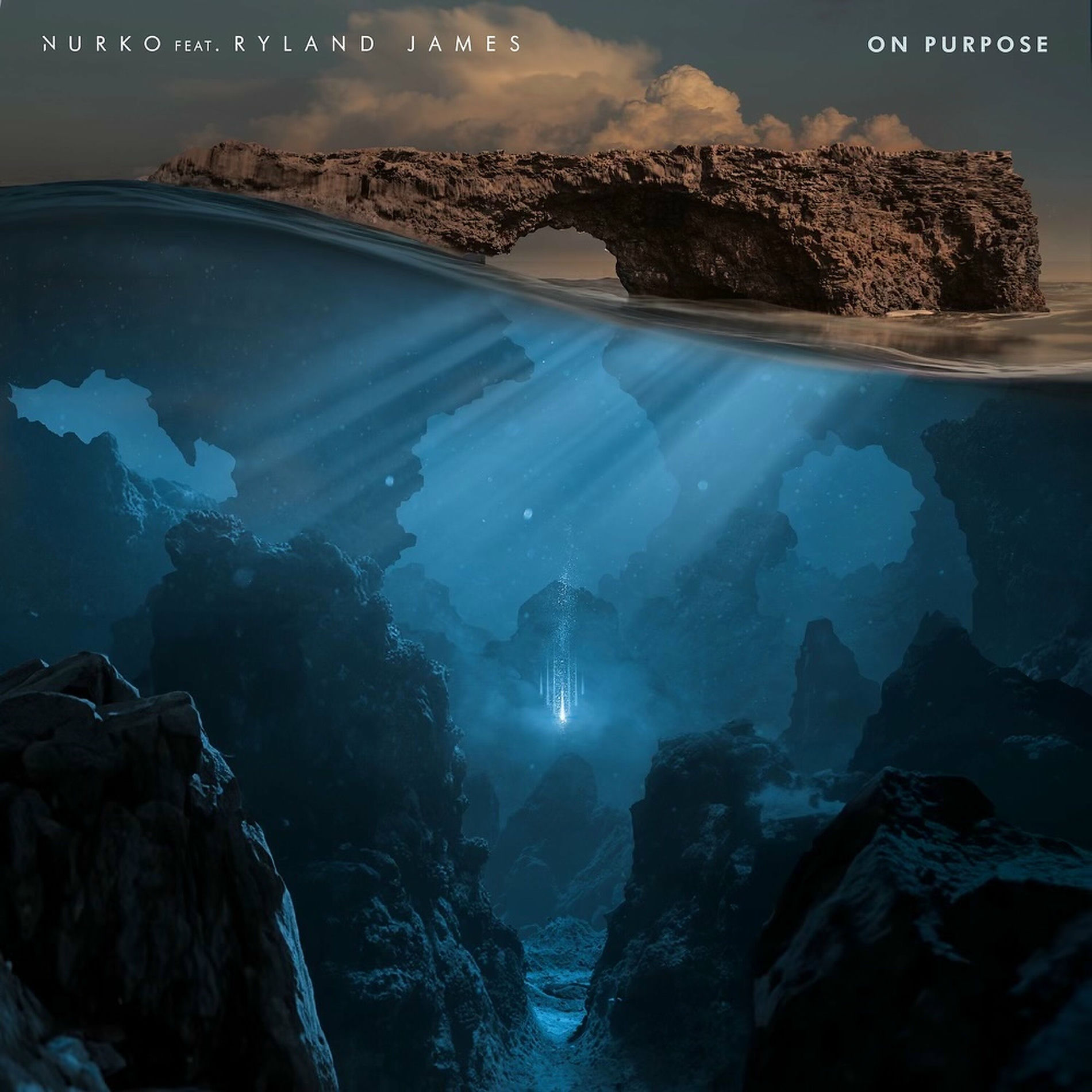 Album cover of On Purpose