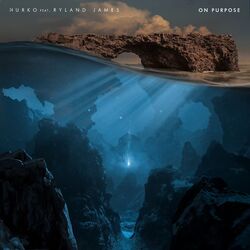 Cover of On Purpose