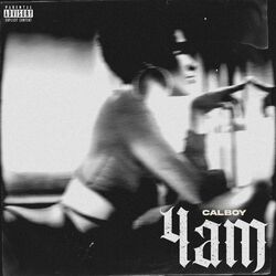 Cover of 4AM