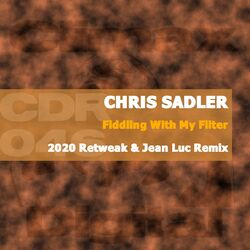 Cover of Fiddling With My Filter 2020