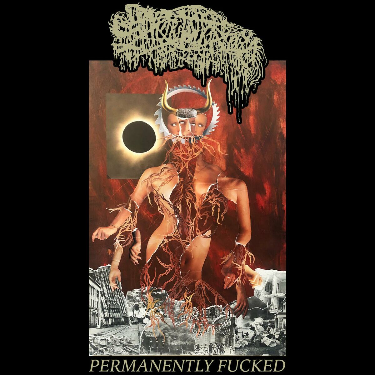 Album cover of Permanently Fucked