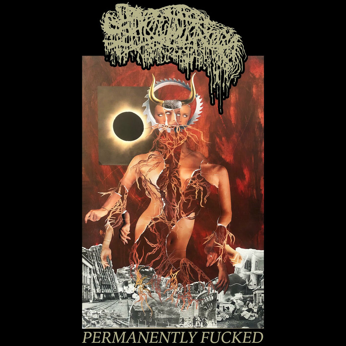 Album cover of Permanently Fucked