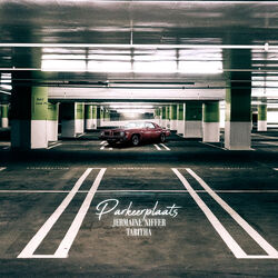Cover of Parkeerplaats