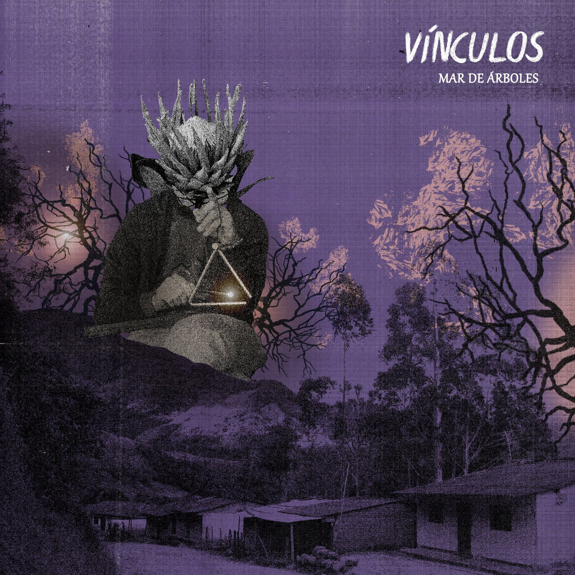 Album cover of Mar de Árboles