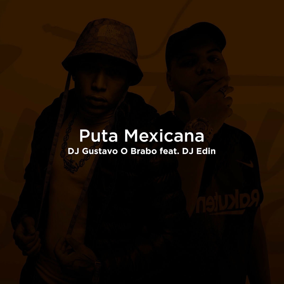 Album cover of Puta Mexicana
