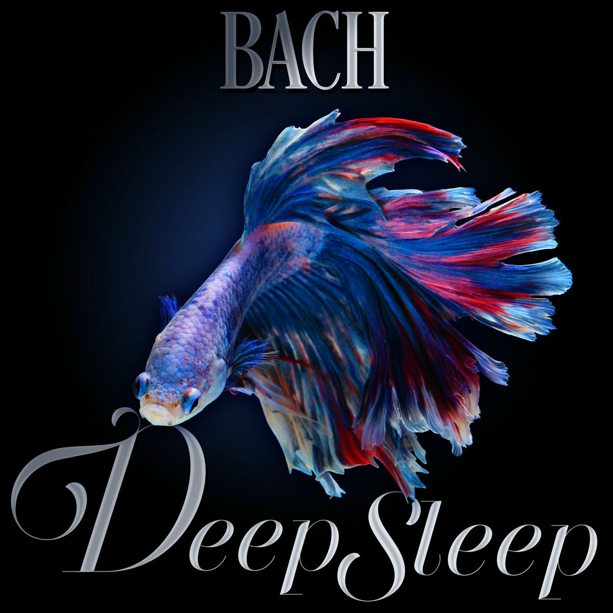 Album cover of Bach Deep Sleep