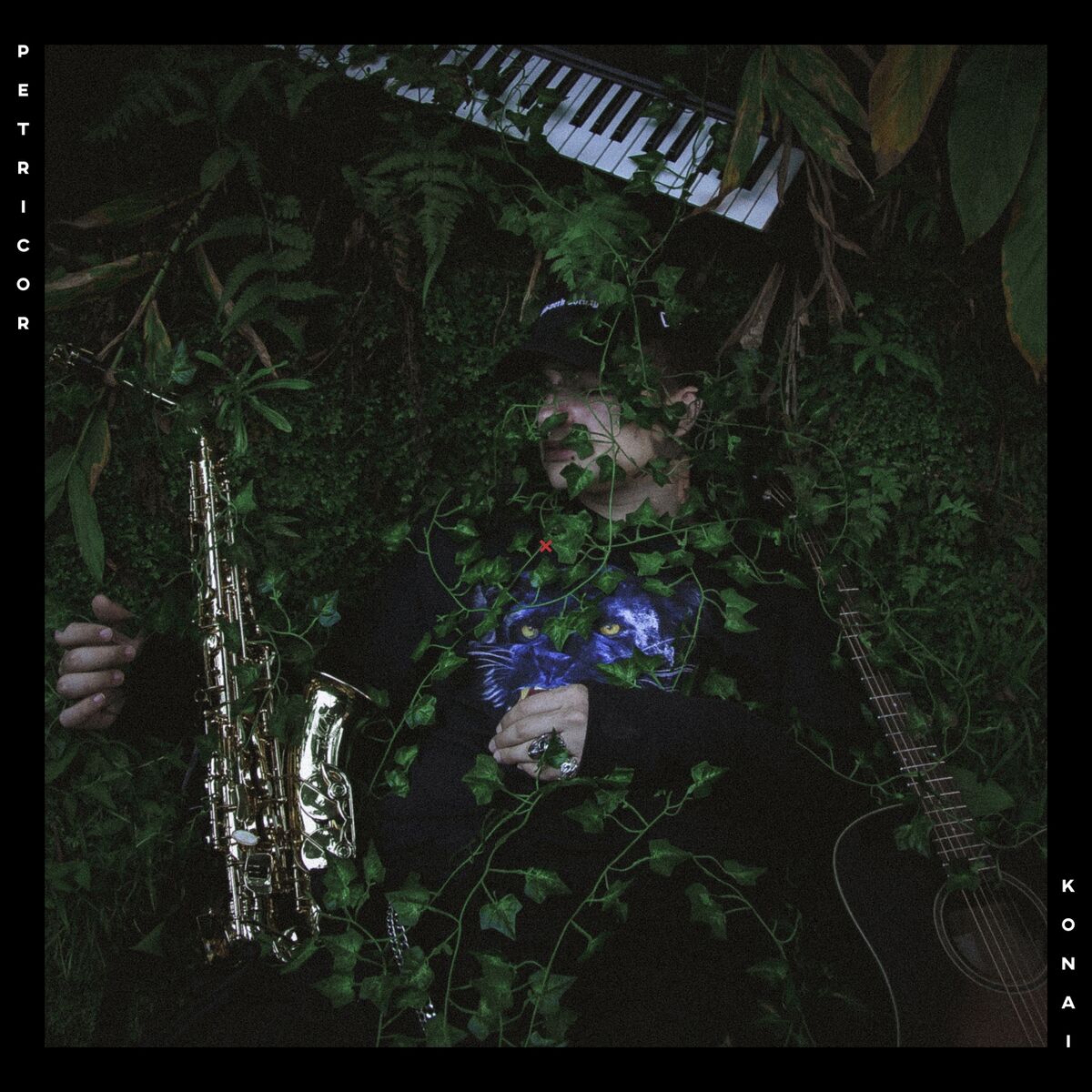Album cover of Intro