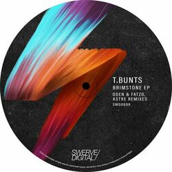 Cover of T.Bunts - Brimstone EP (Oden & Fatzo, ASTRE Remixes)