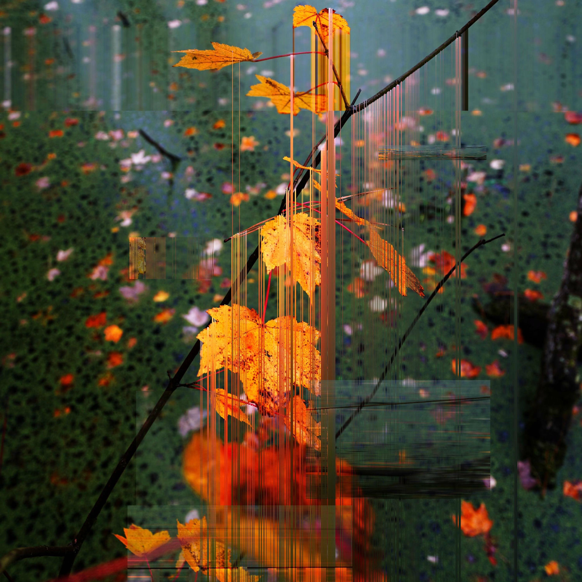 Album cover of Color of Time