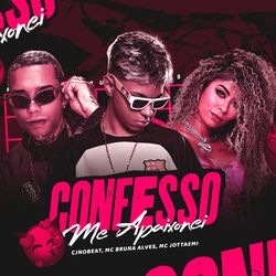 Cover of Confesso Me Apaixonei