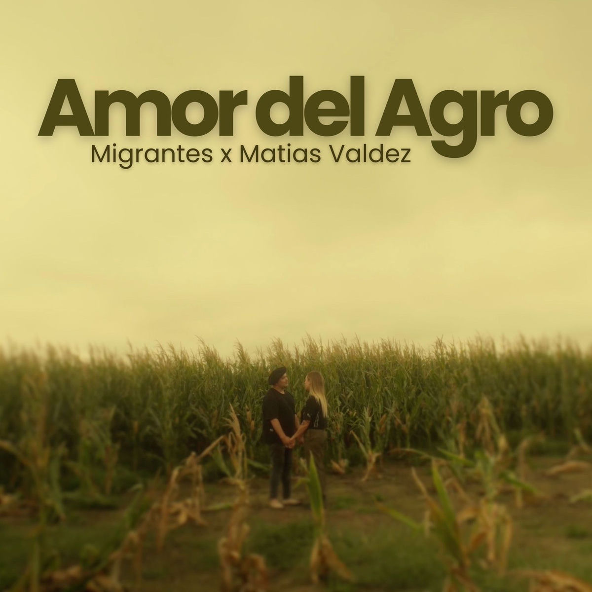 Album cover of Amor del Agro