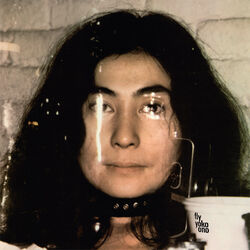 Cover of Fly
