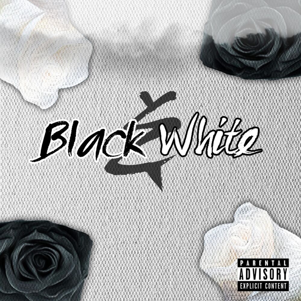 Picture of Black & White