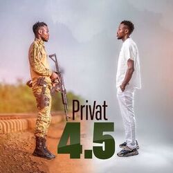 Cover of 4.5