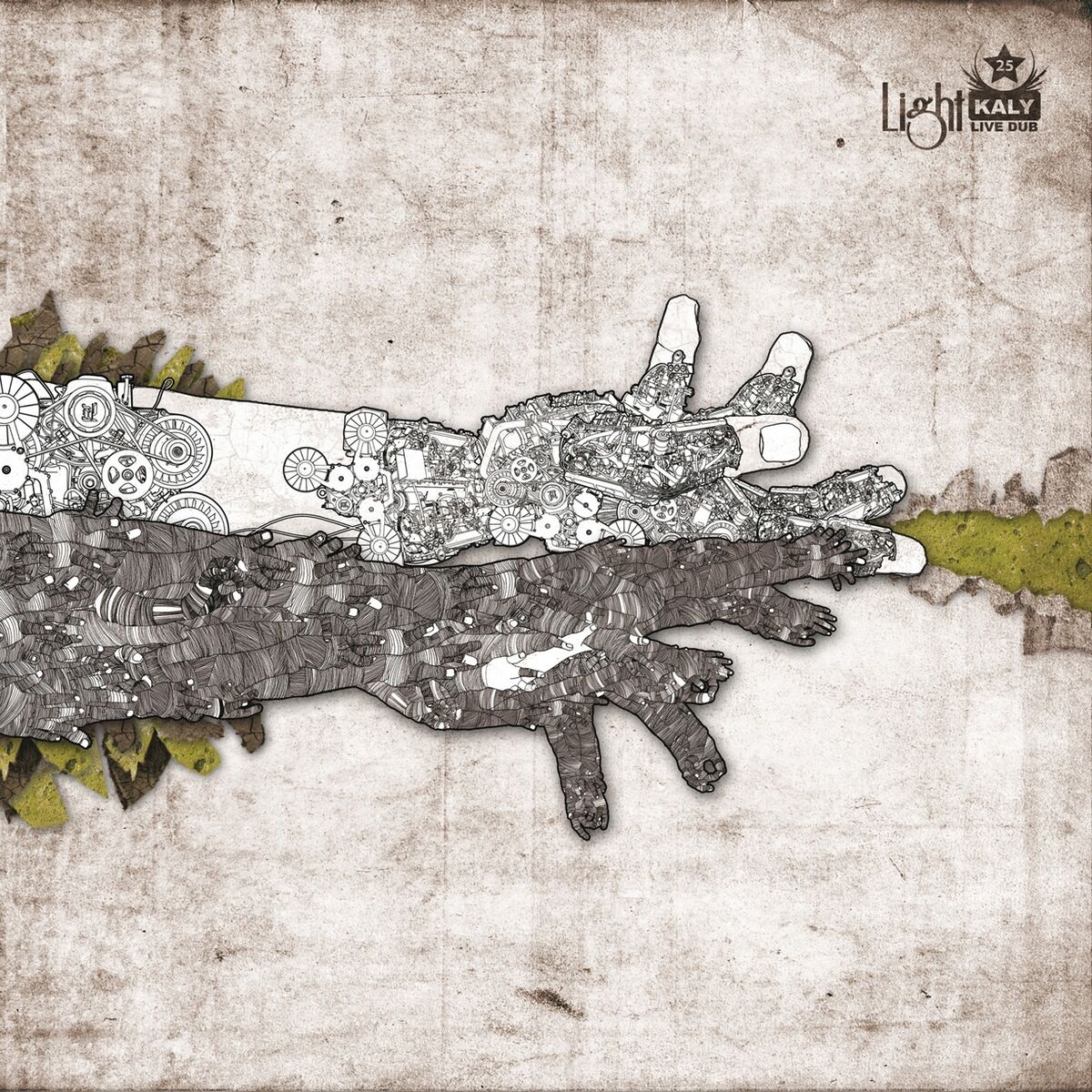 Album cover of Light