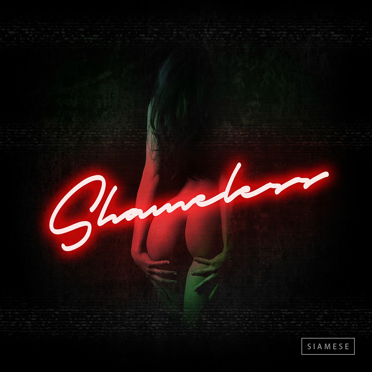 Album cover of Shameless