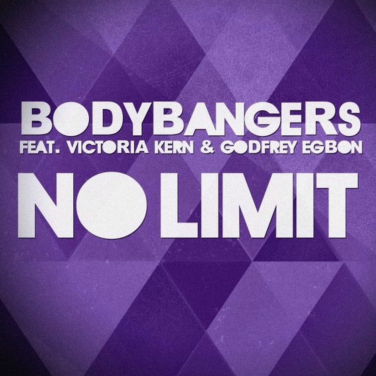 Album cover of No Limit
