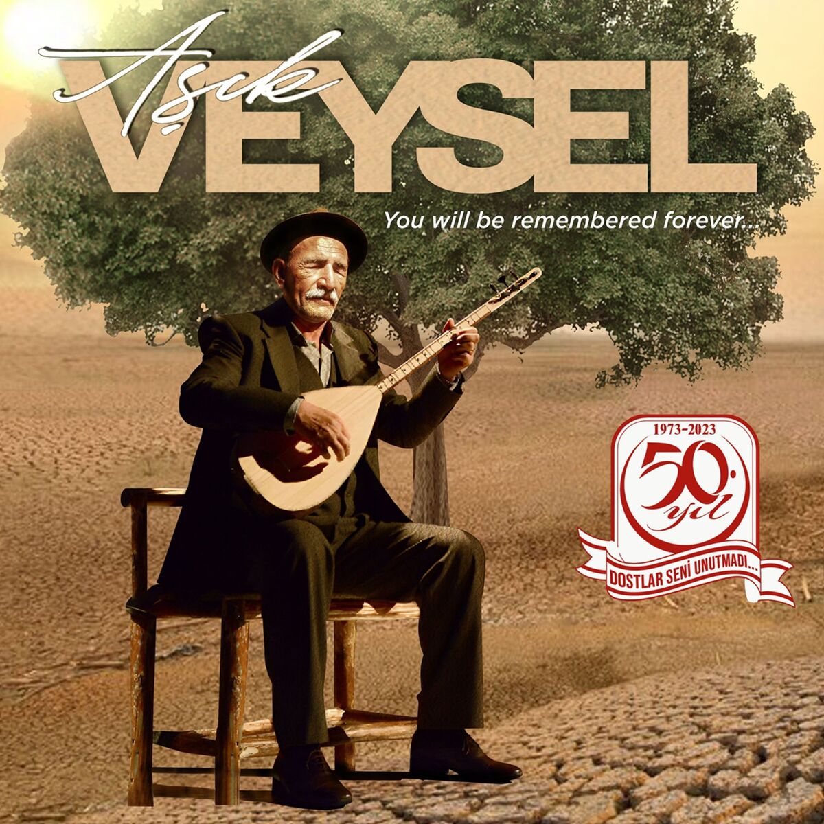 Album cover of Dostlar Seni Unutmadı (Aşık Veysel'i Anma Yılı Özel Albümü)
