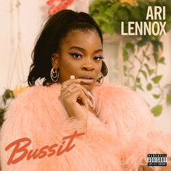 Cover of BUSSIT