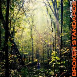 Cover of Broken Standards, Vol. 1