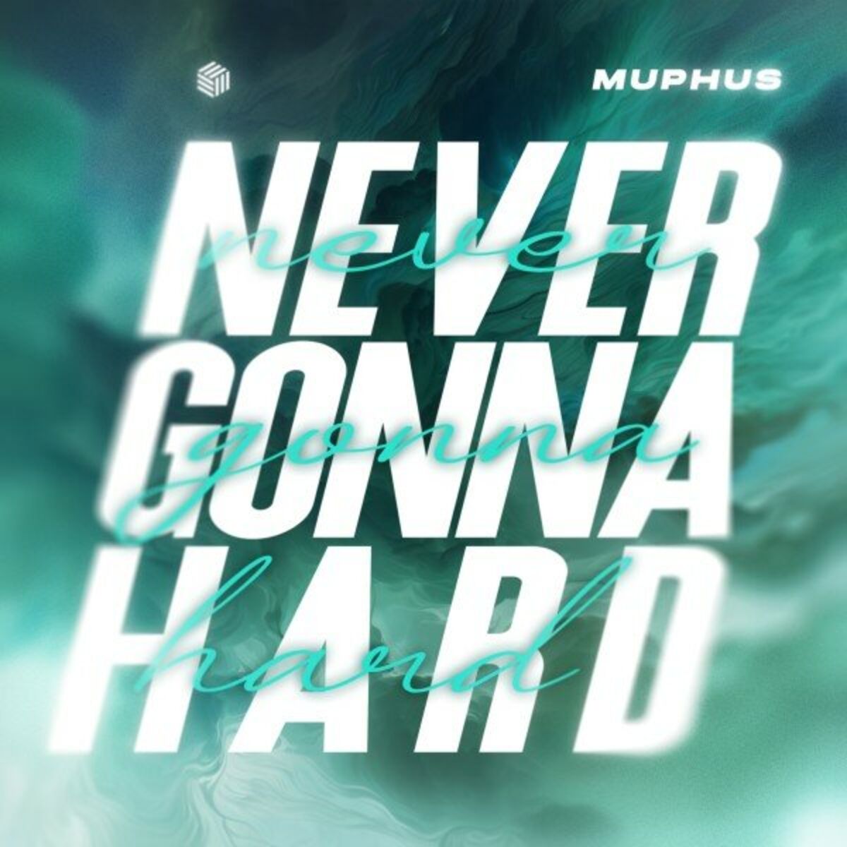 Album cover of Never Gonna Hard