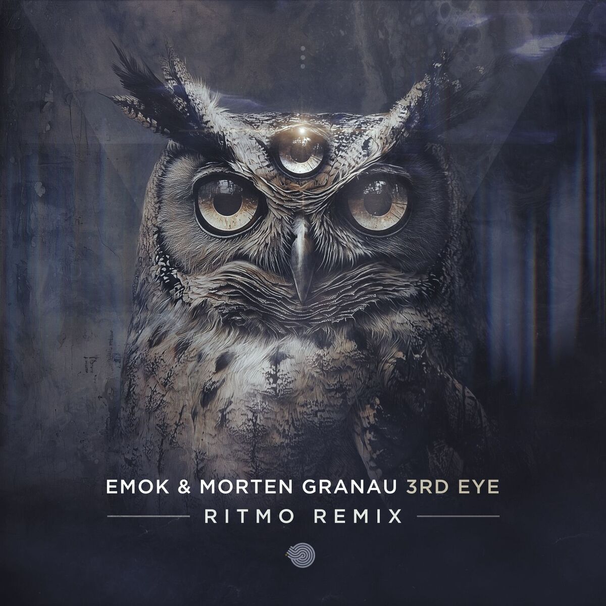Album cover of 3rd Eye (Ritmo Remix)
