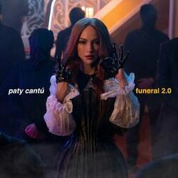 Cover of Funeral 2.0