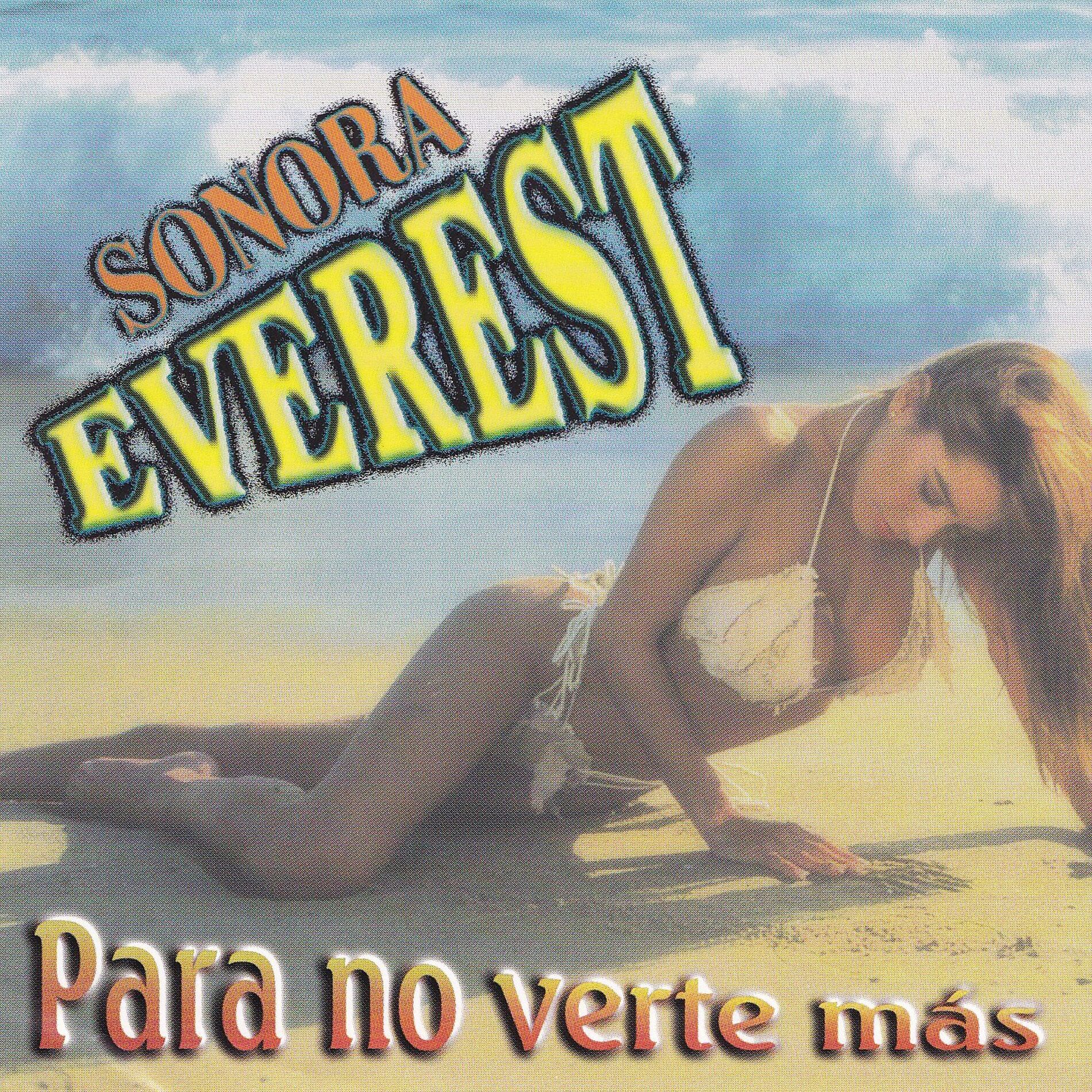 Album cover of Para No Verte Mas