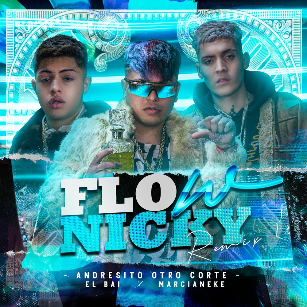 Picture of Flow Nicky (Remix)