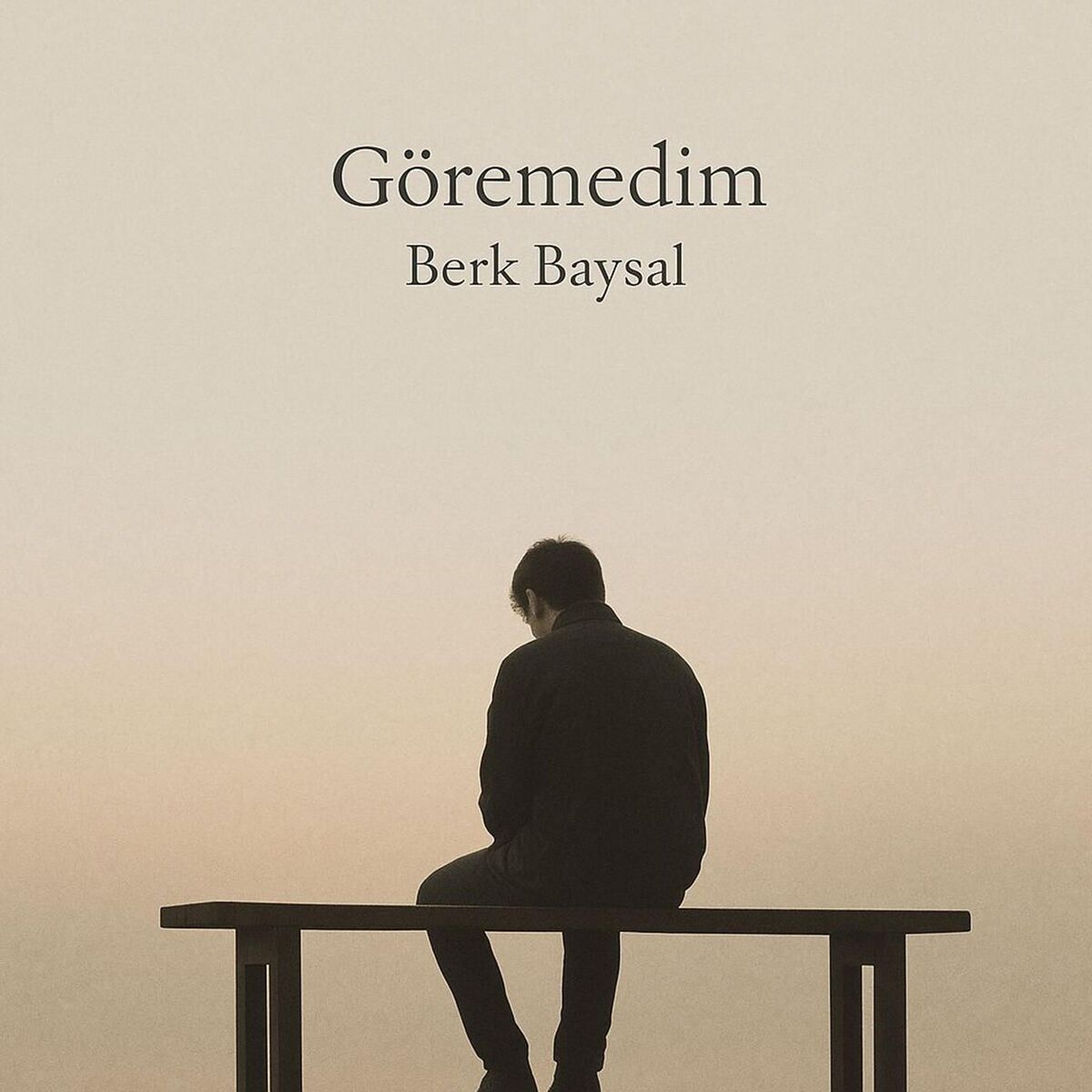 Album cover of Göremedim