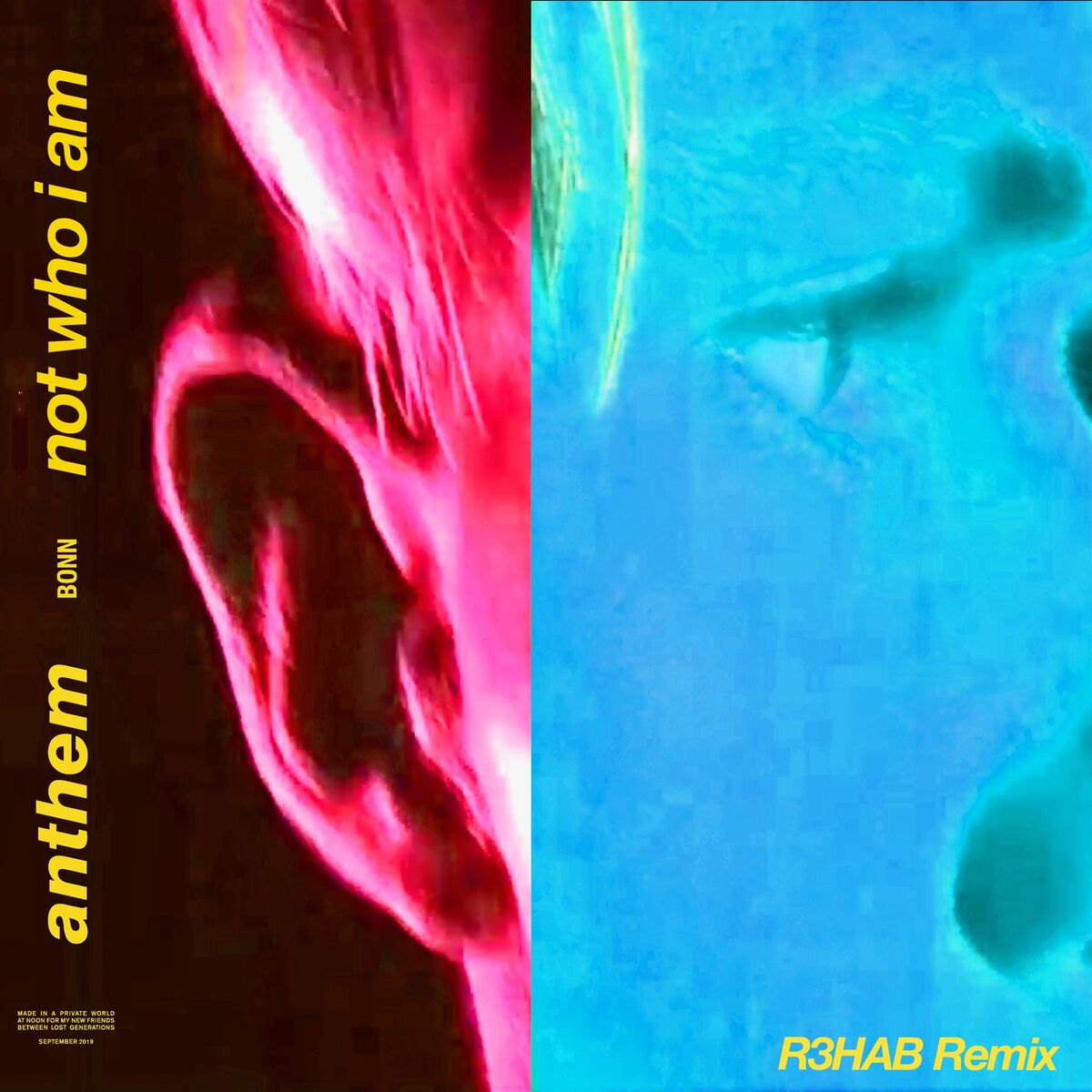 Album cover of ANTHEM (R3HAB Remix)