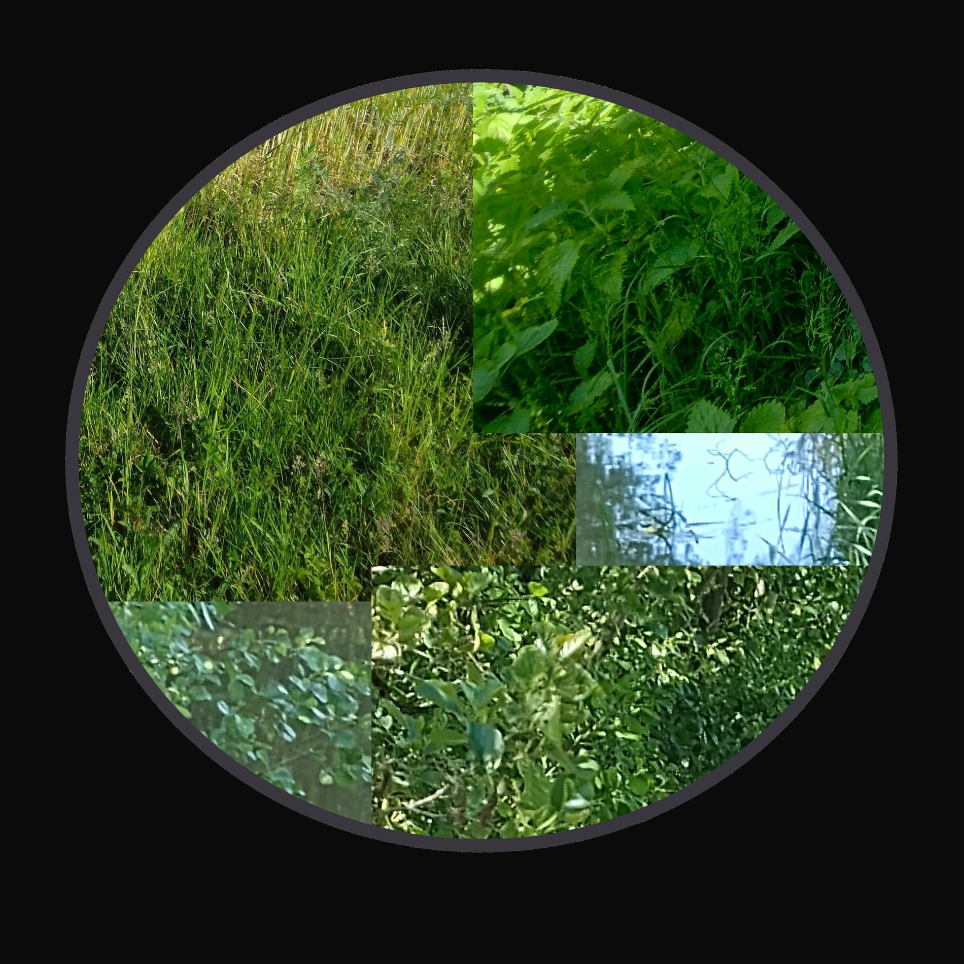 Album cover of longroad