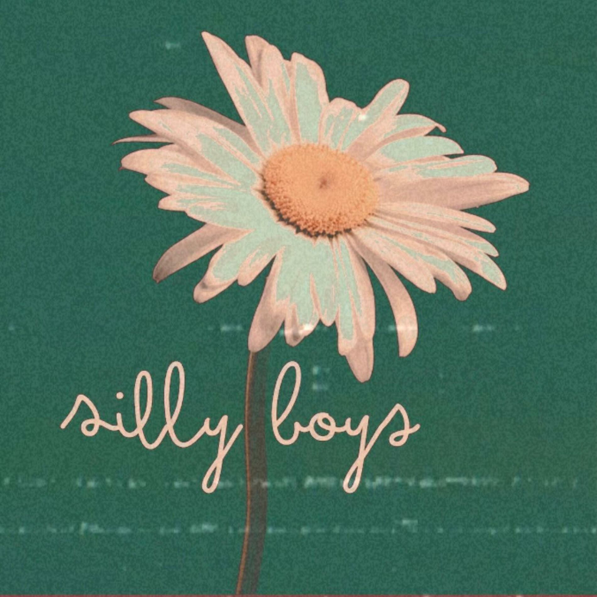 Album cover of Silly Boys