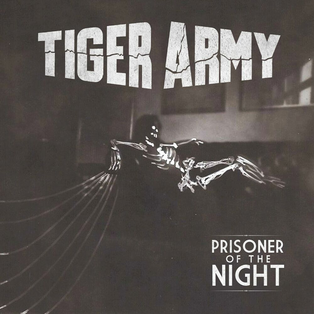 Picture of Prisoner of the Night